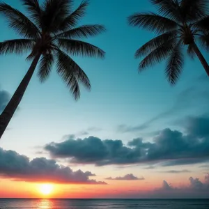 Make me have a pretty sunset with palm trees in the ocean light blue where you can see perfectly clear