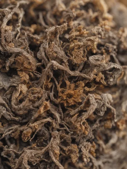 high detailed professional dark and moody macro-photo of dried flowers and a ragged cloth rooted on an old book, roots and leafs, foggy, grainy, shiny, intricate plant details, with vibrant colors, bold colors, atmospheric. 35mm photograph, film, bokeh, professional, 4k, highly detailed, skin detail realistic, ultra realistic, macro photography, close-up, hyper detailed, trending on artstation, sharp focus, studio photo, intricate details, highly detailed, by greg rutkowski