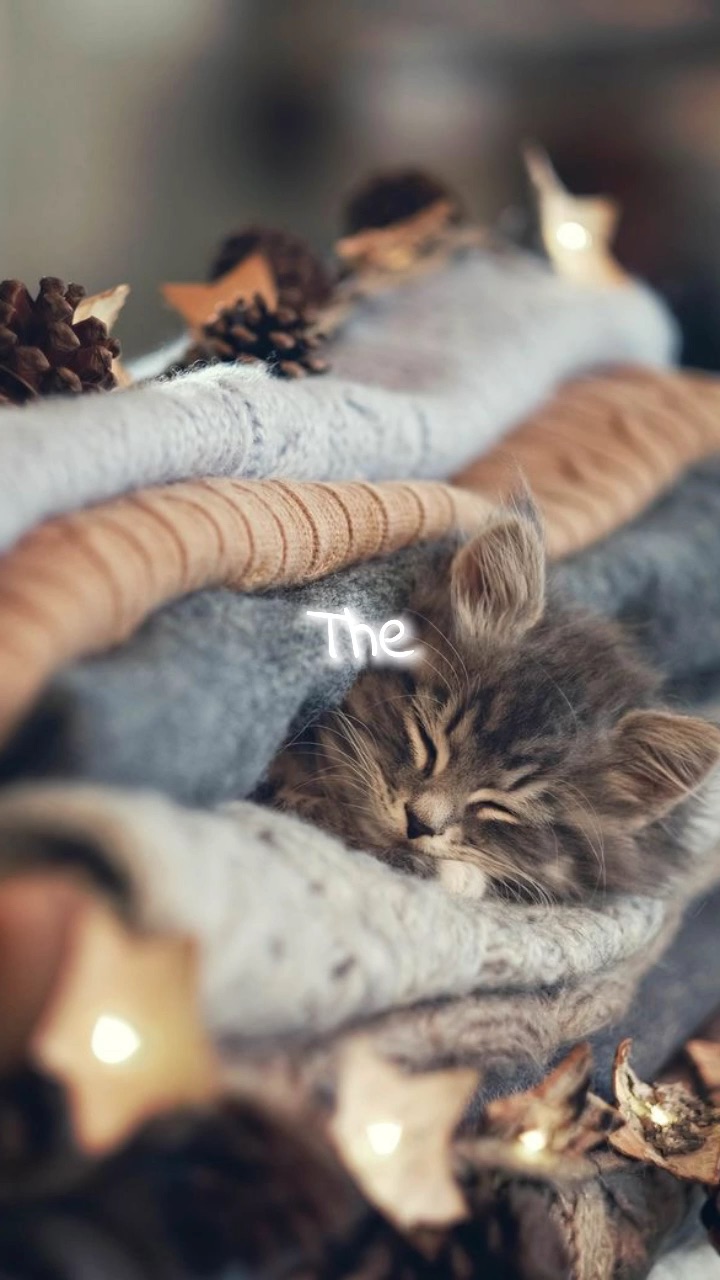 template
