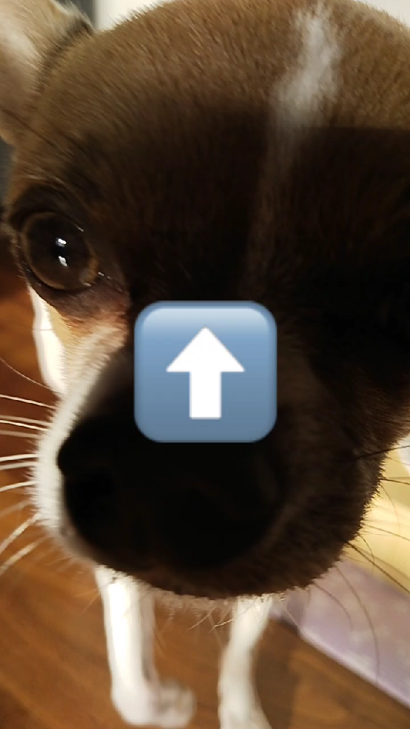 template