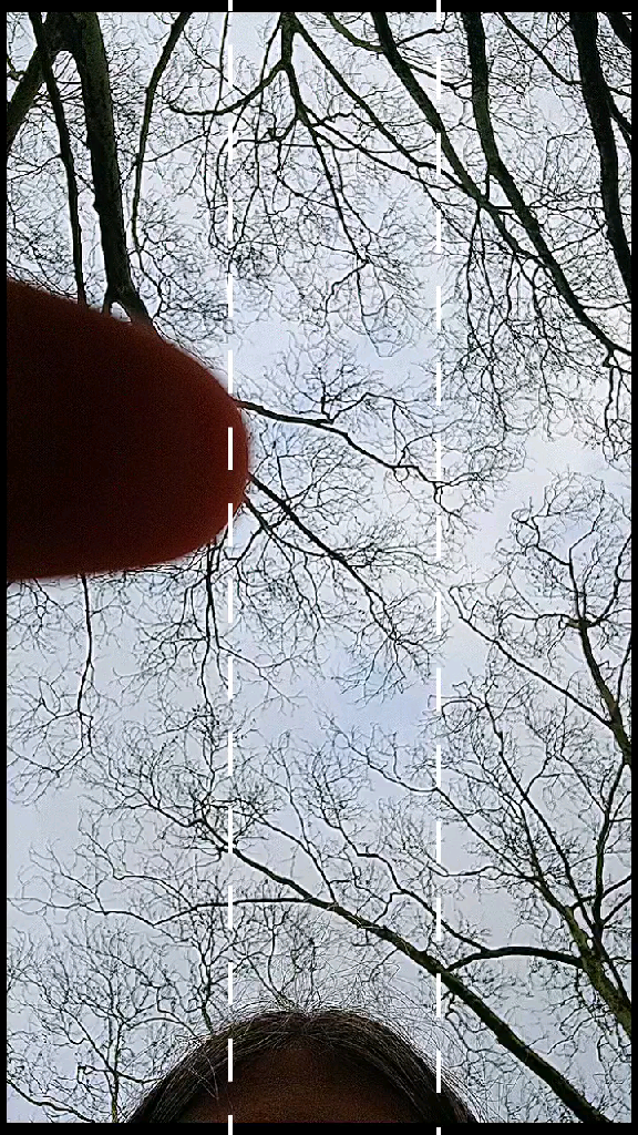 template