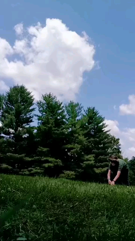 template