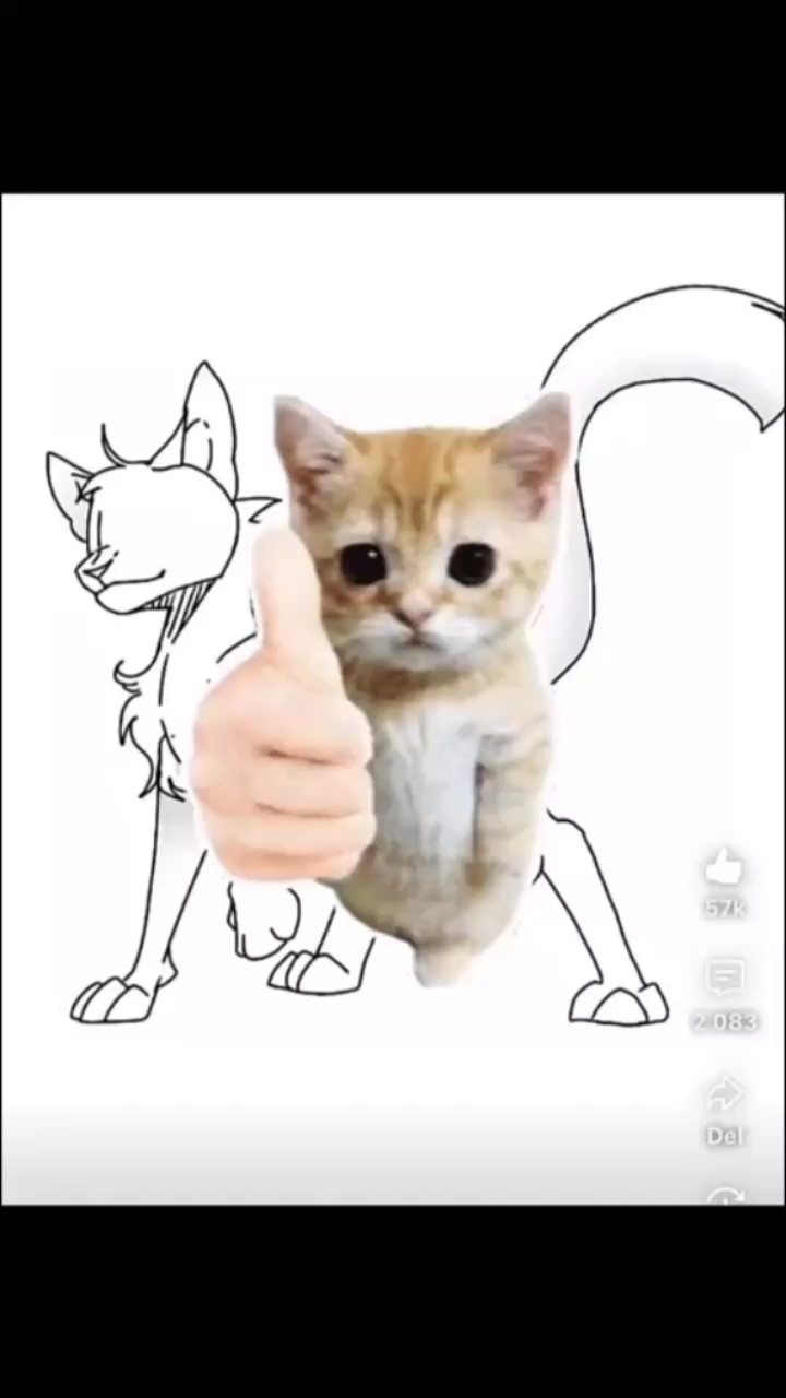 template