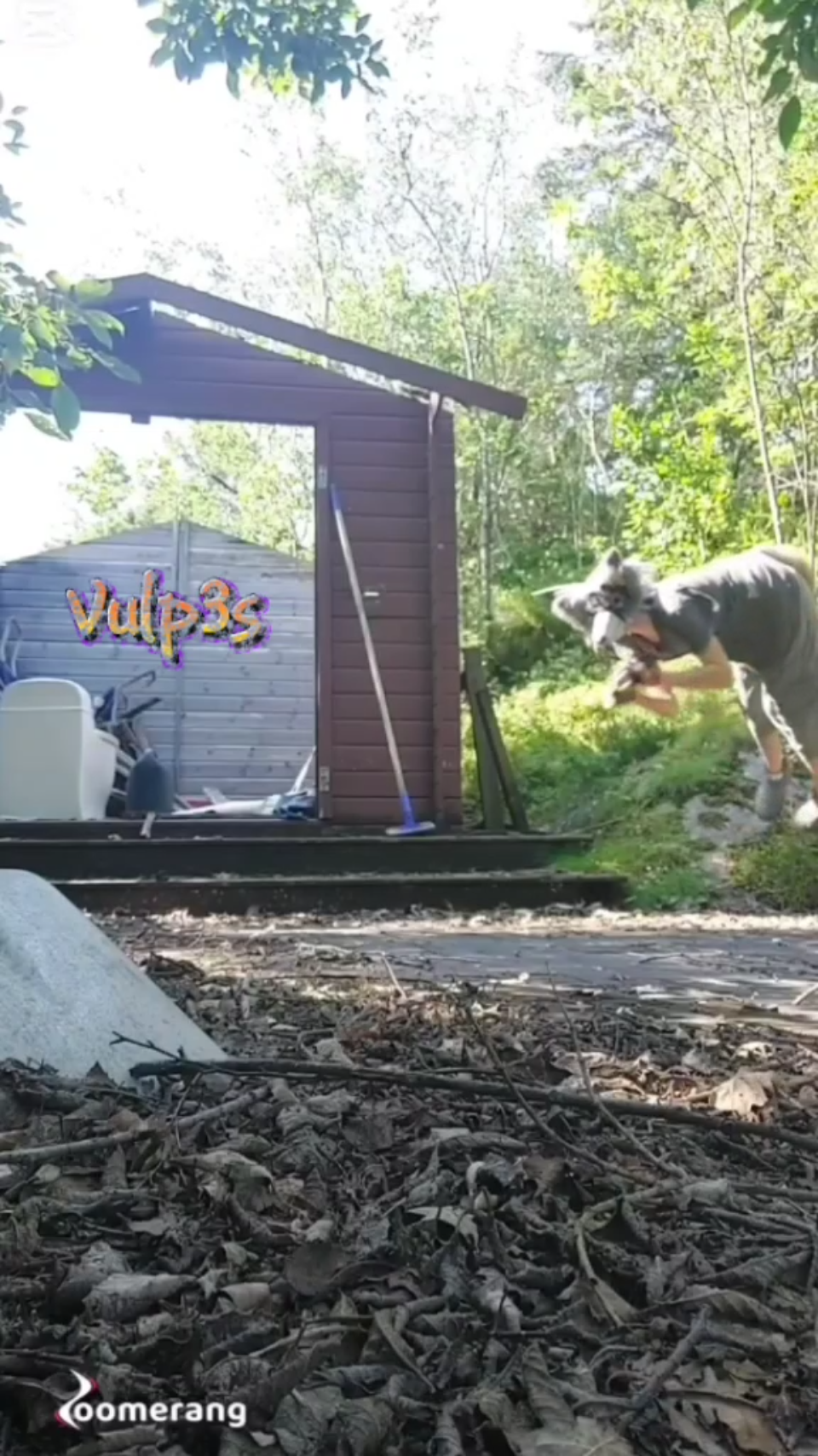template