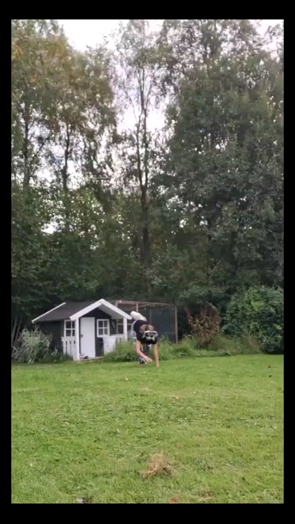 template