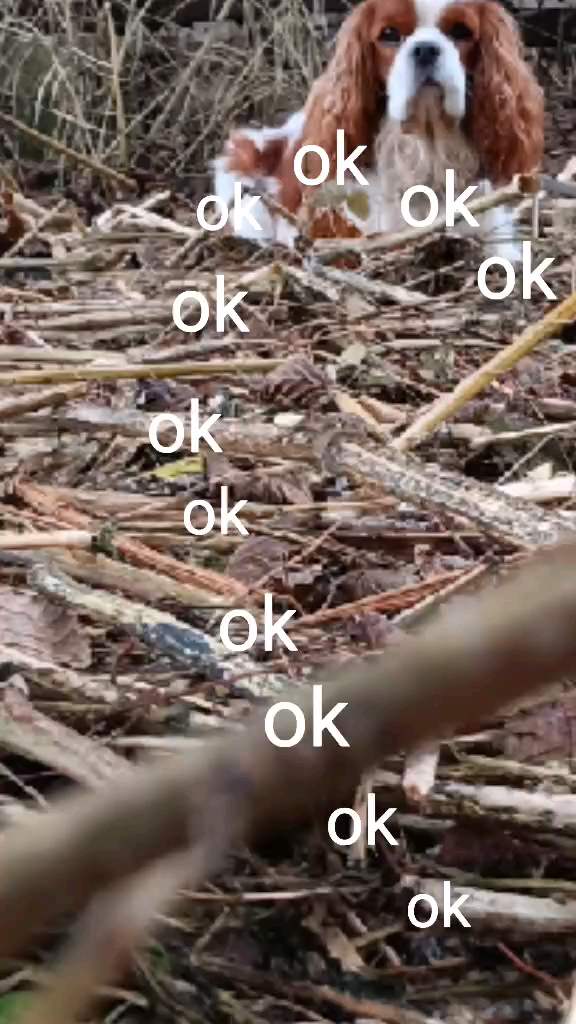 template