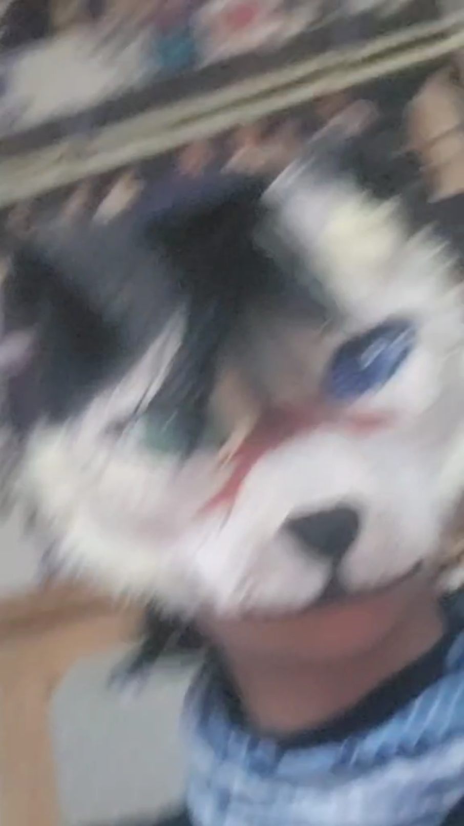 template