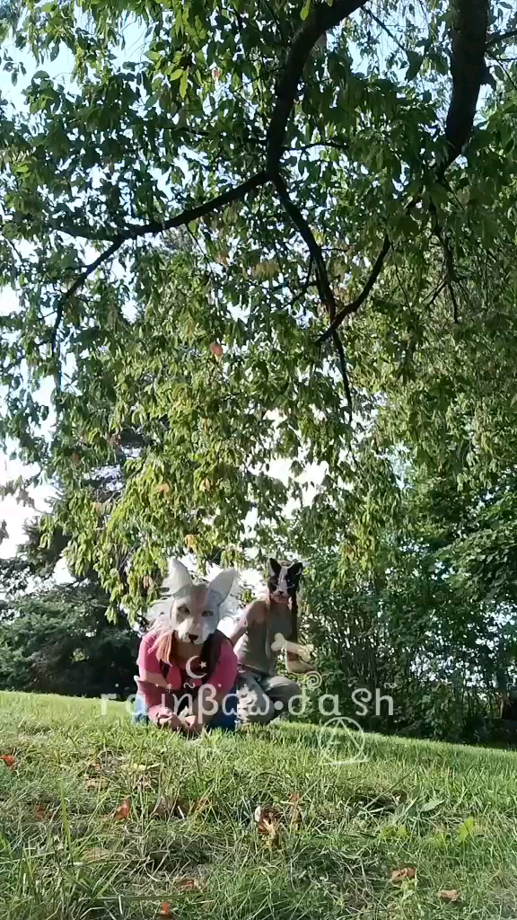 template