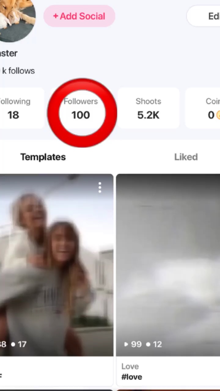 template