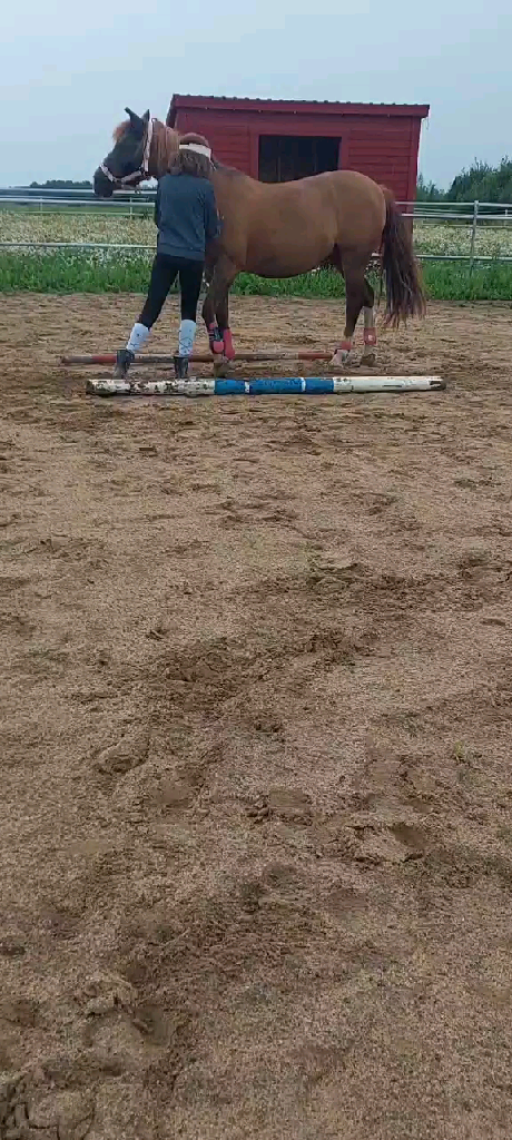 template