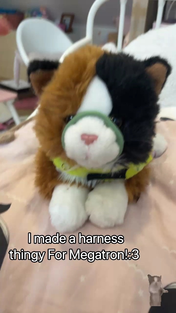 template