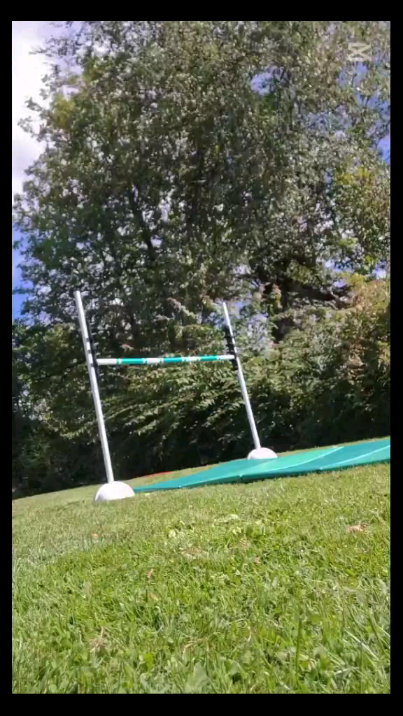 template