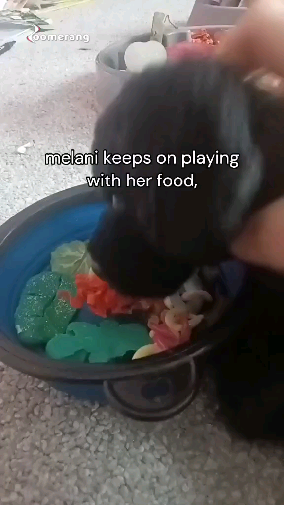 template