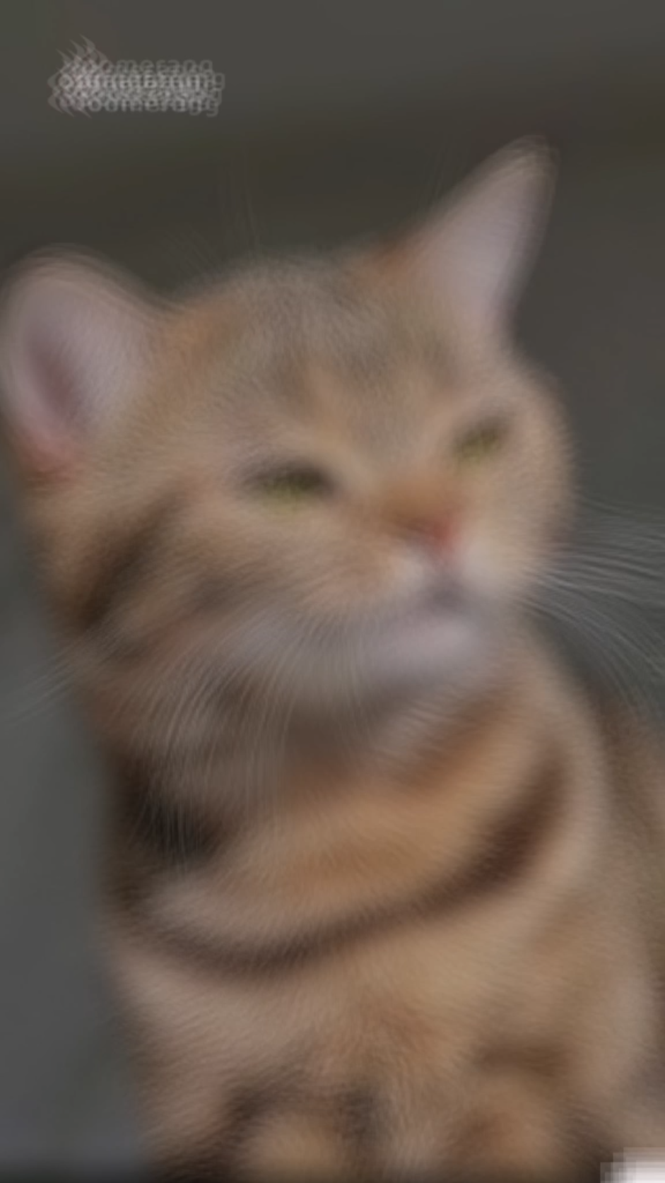 template