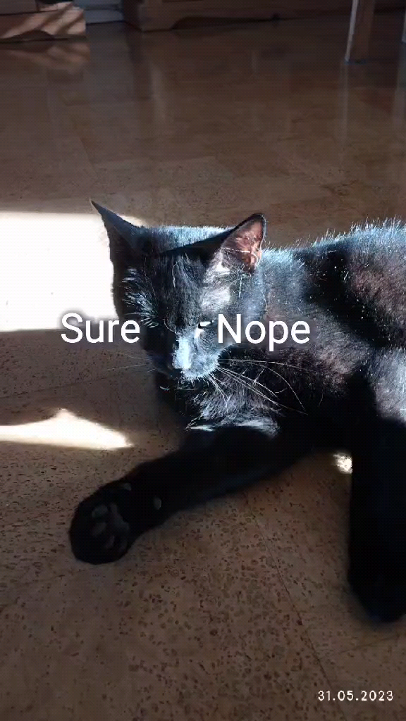 template