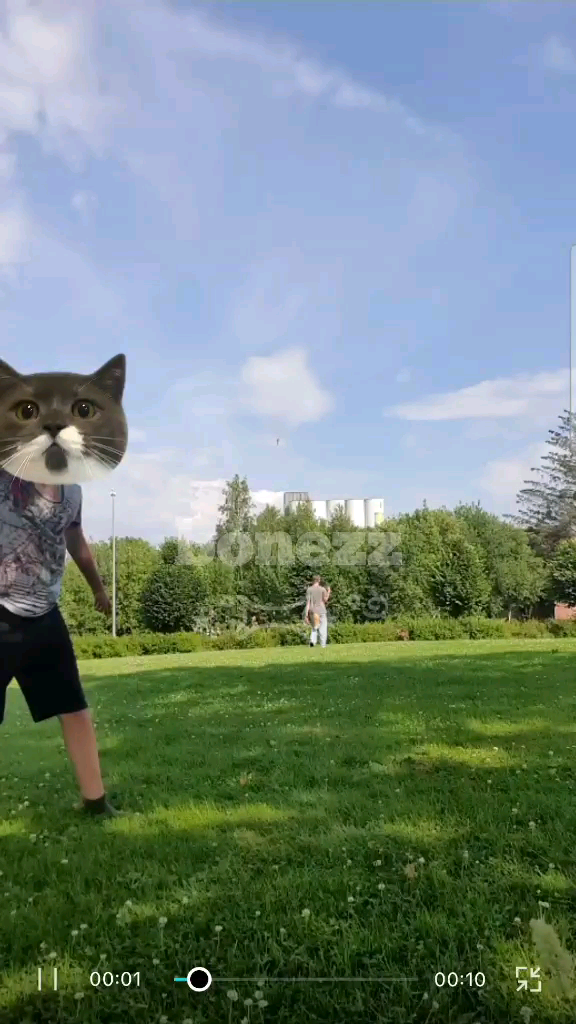 template