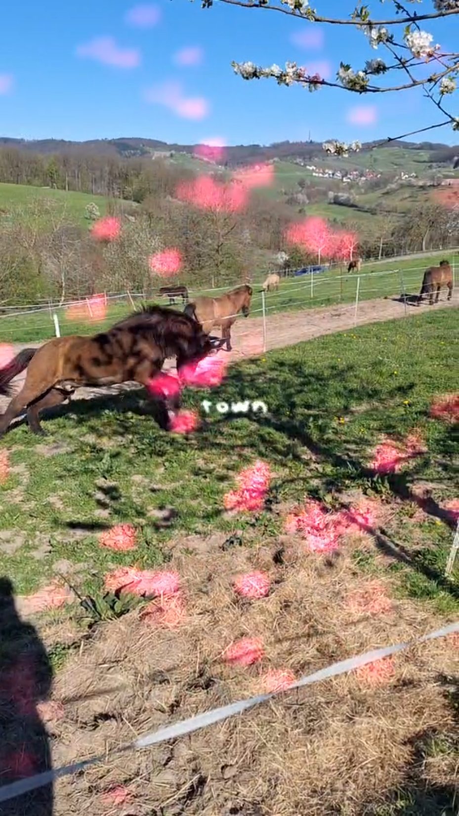 template