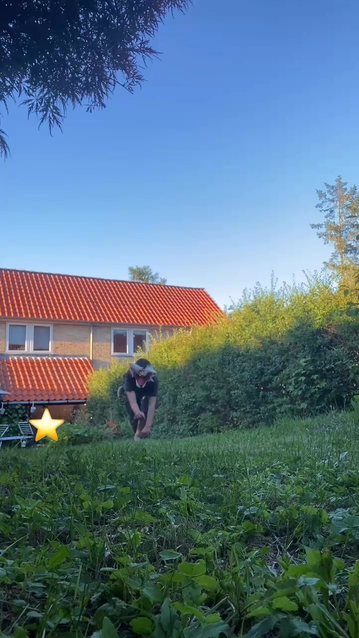 template