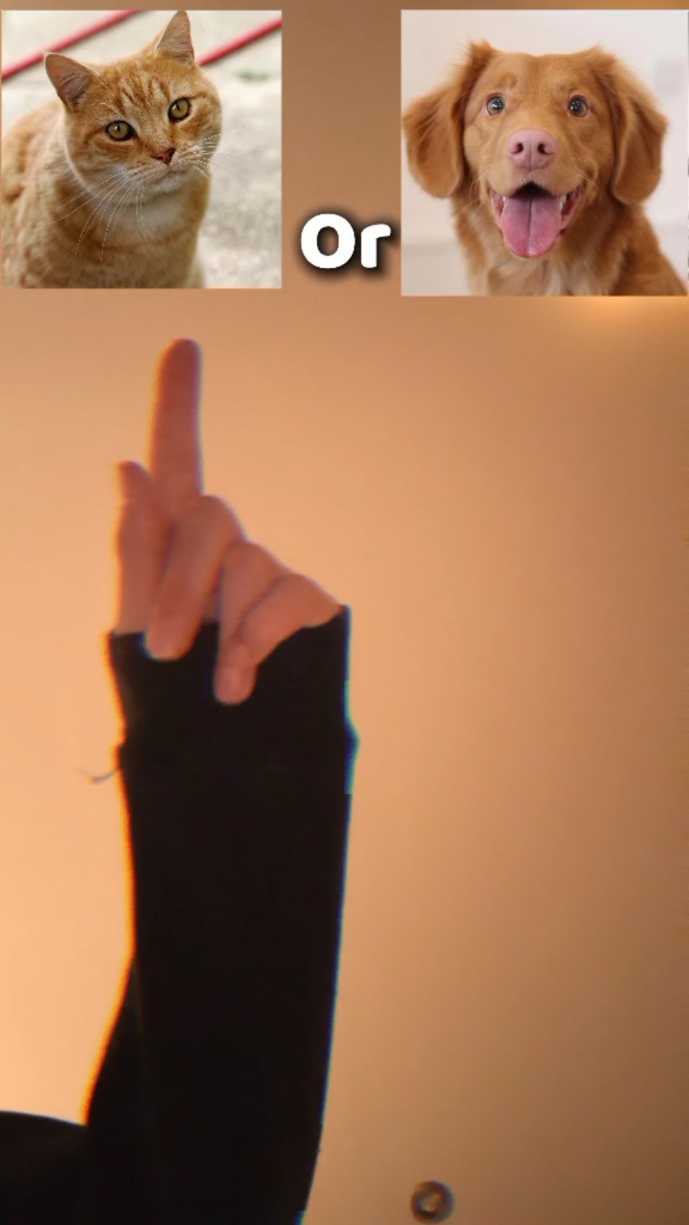 template