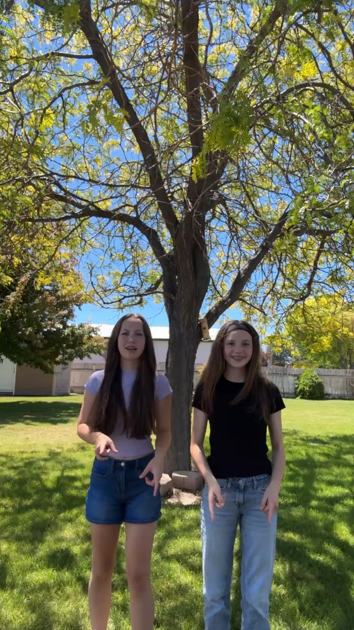 template
