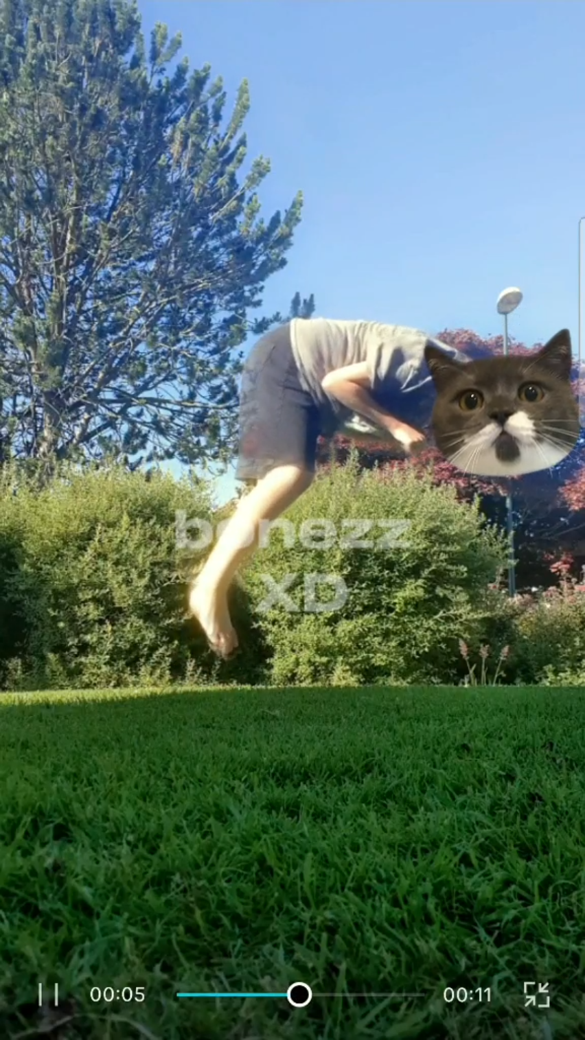 template