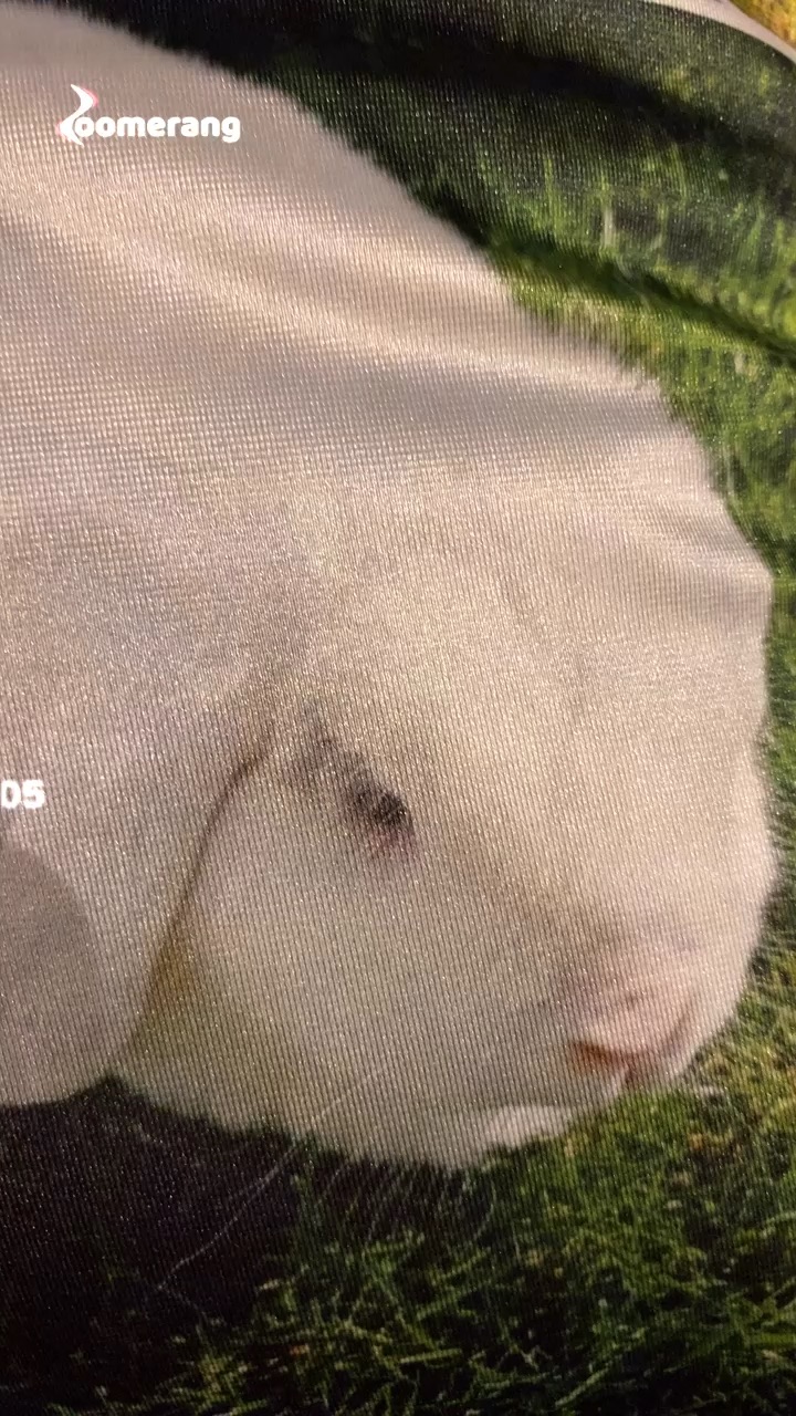 template