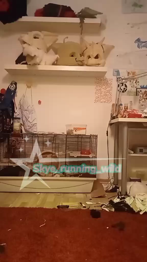 template