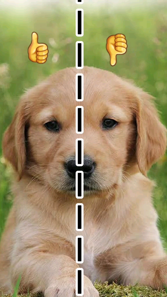 template