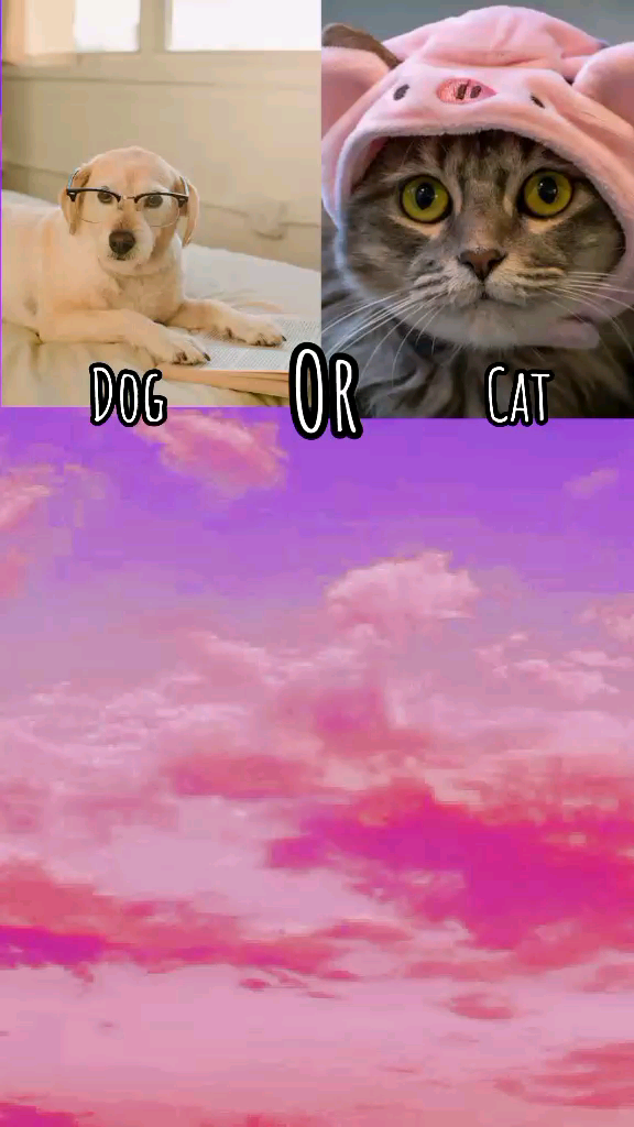 template