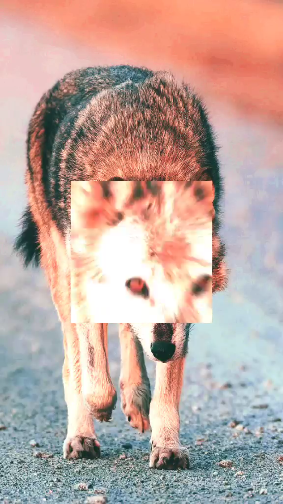 template