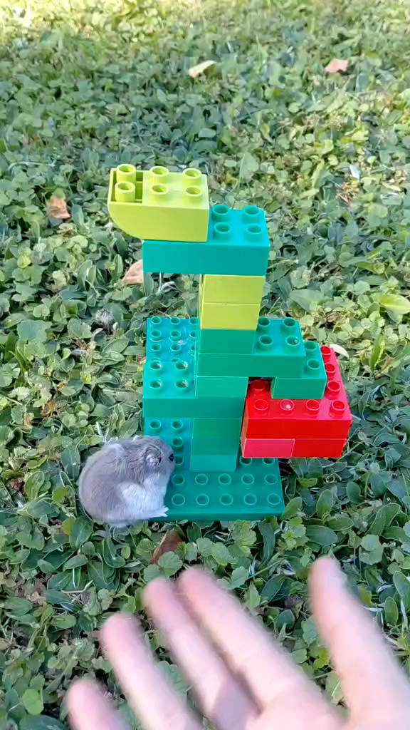 template