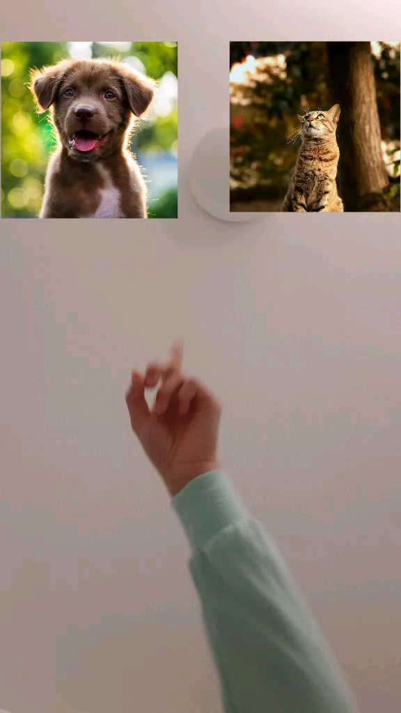 template