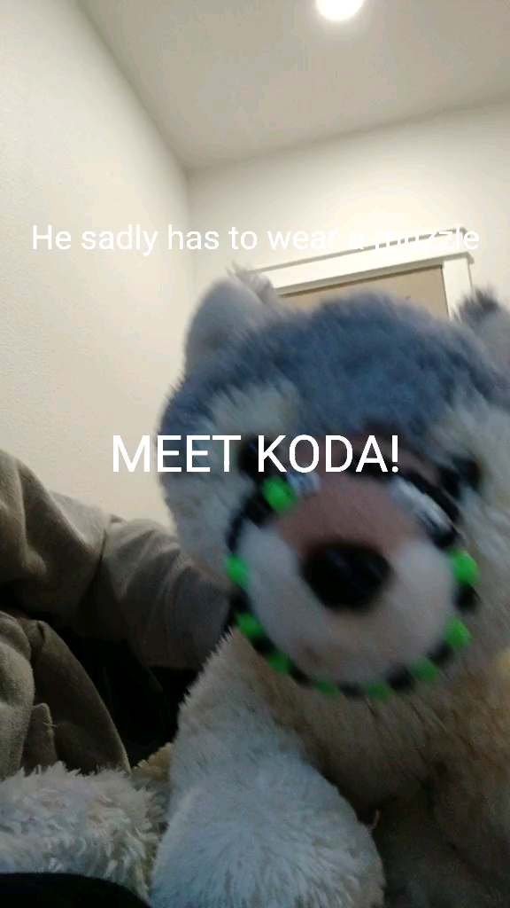 template