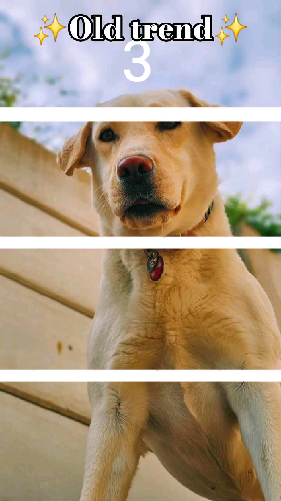 template