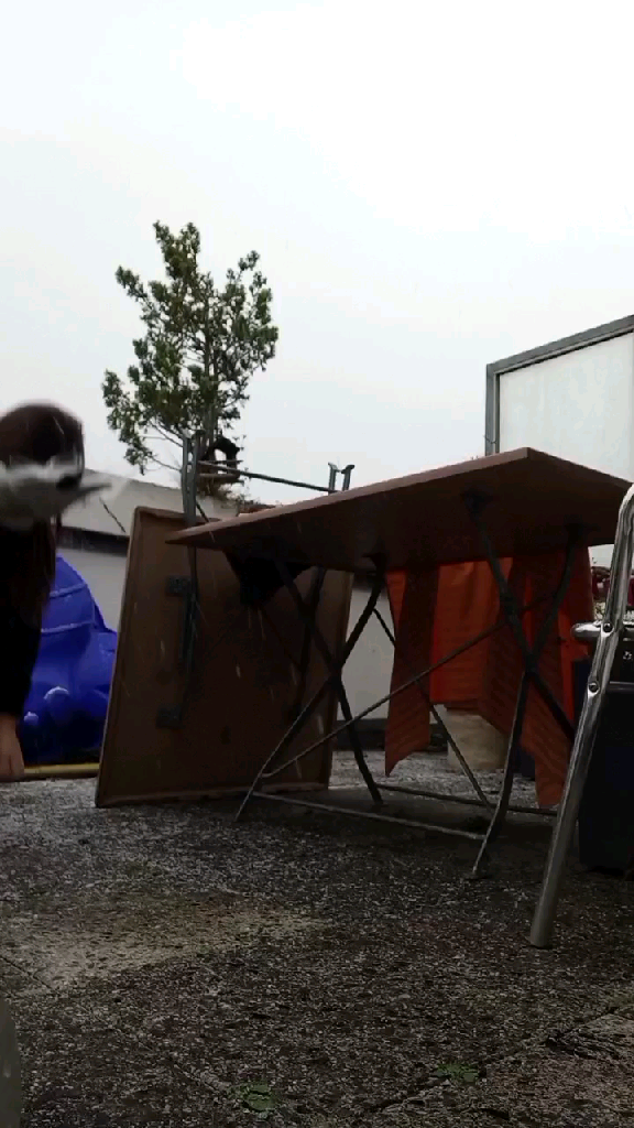 template