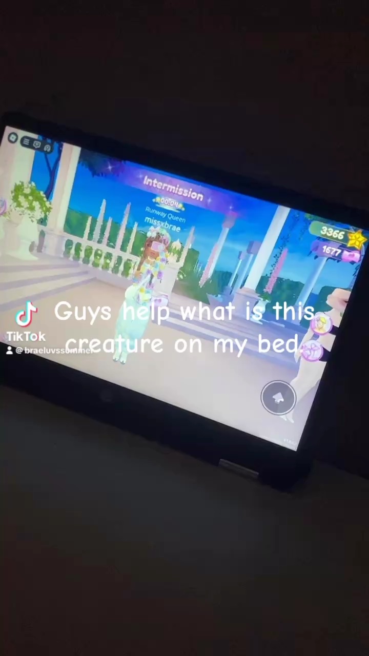 template