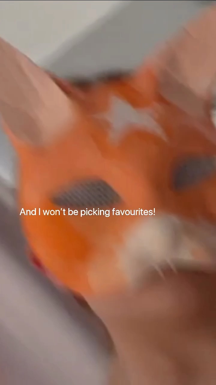 template