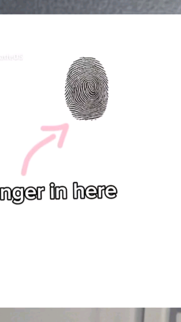template