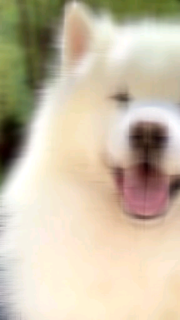 template