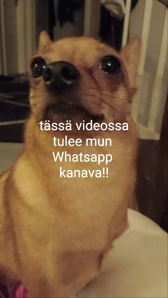 template