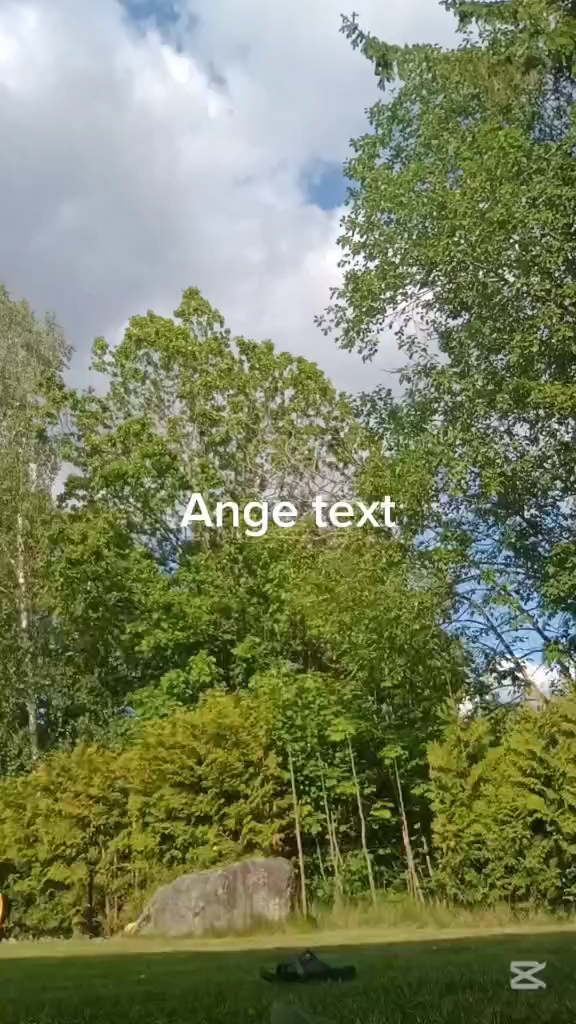 template