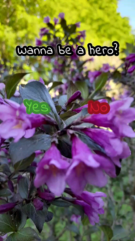 template
