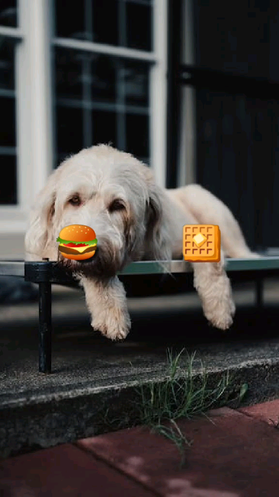 template