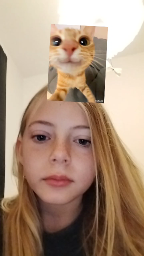 template