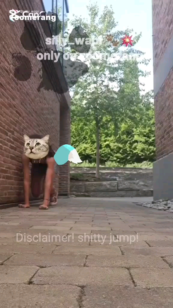 template