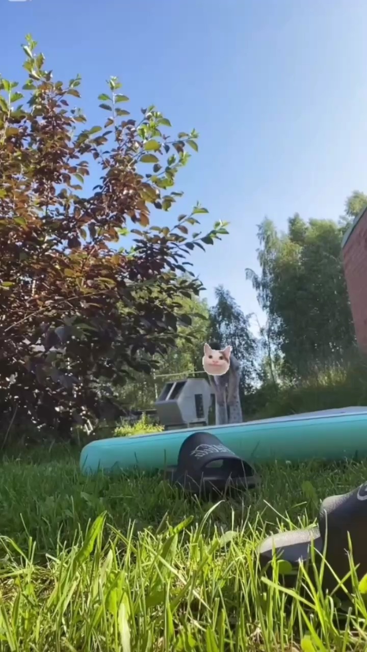template