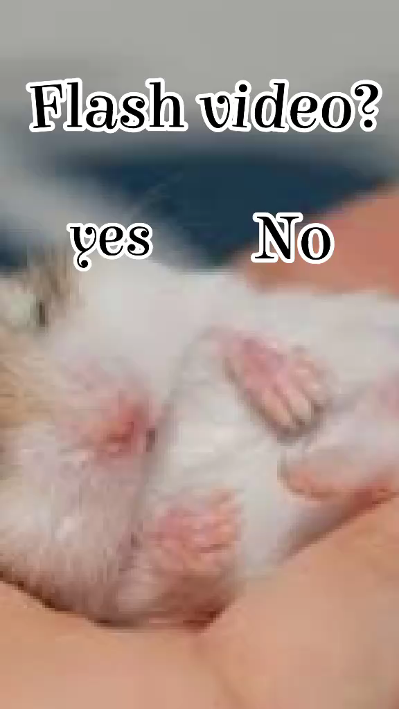 template