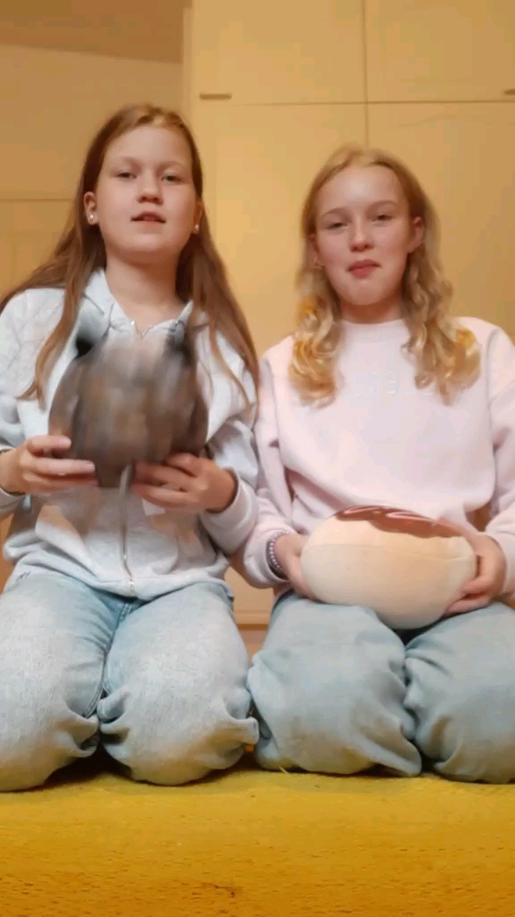 template