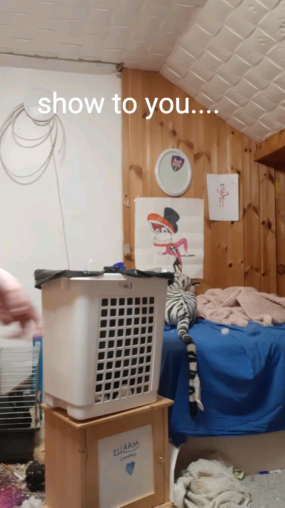 template