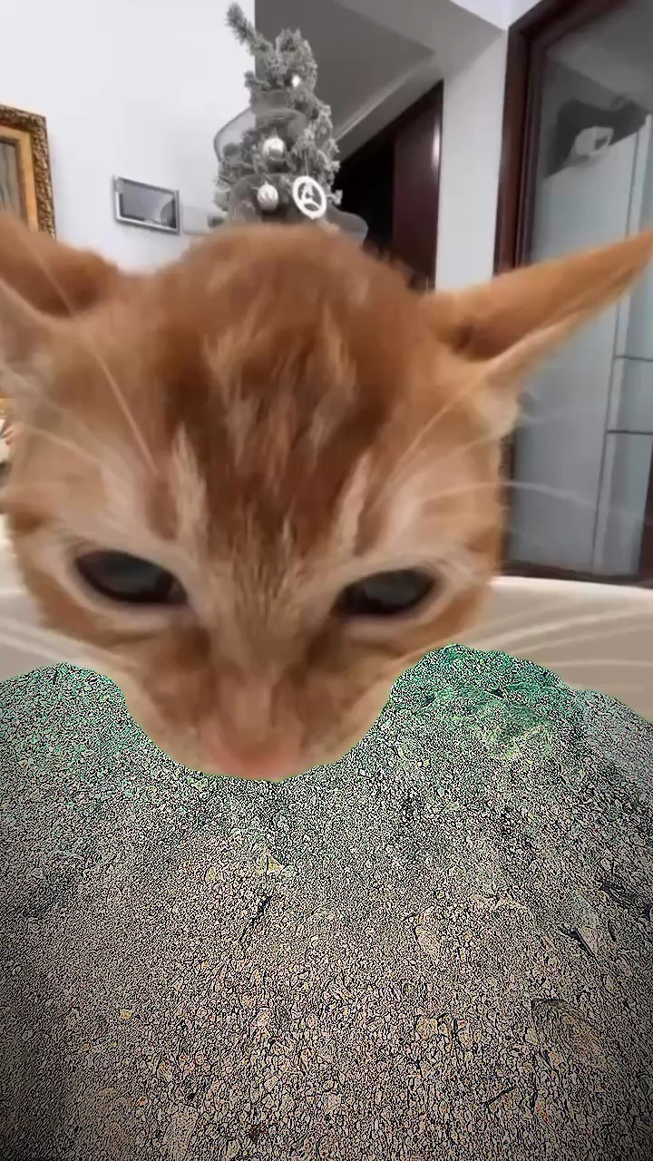 template